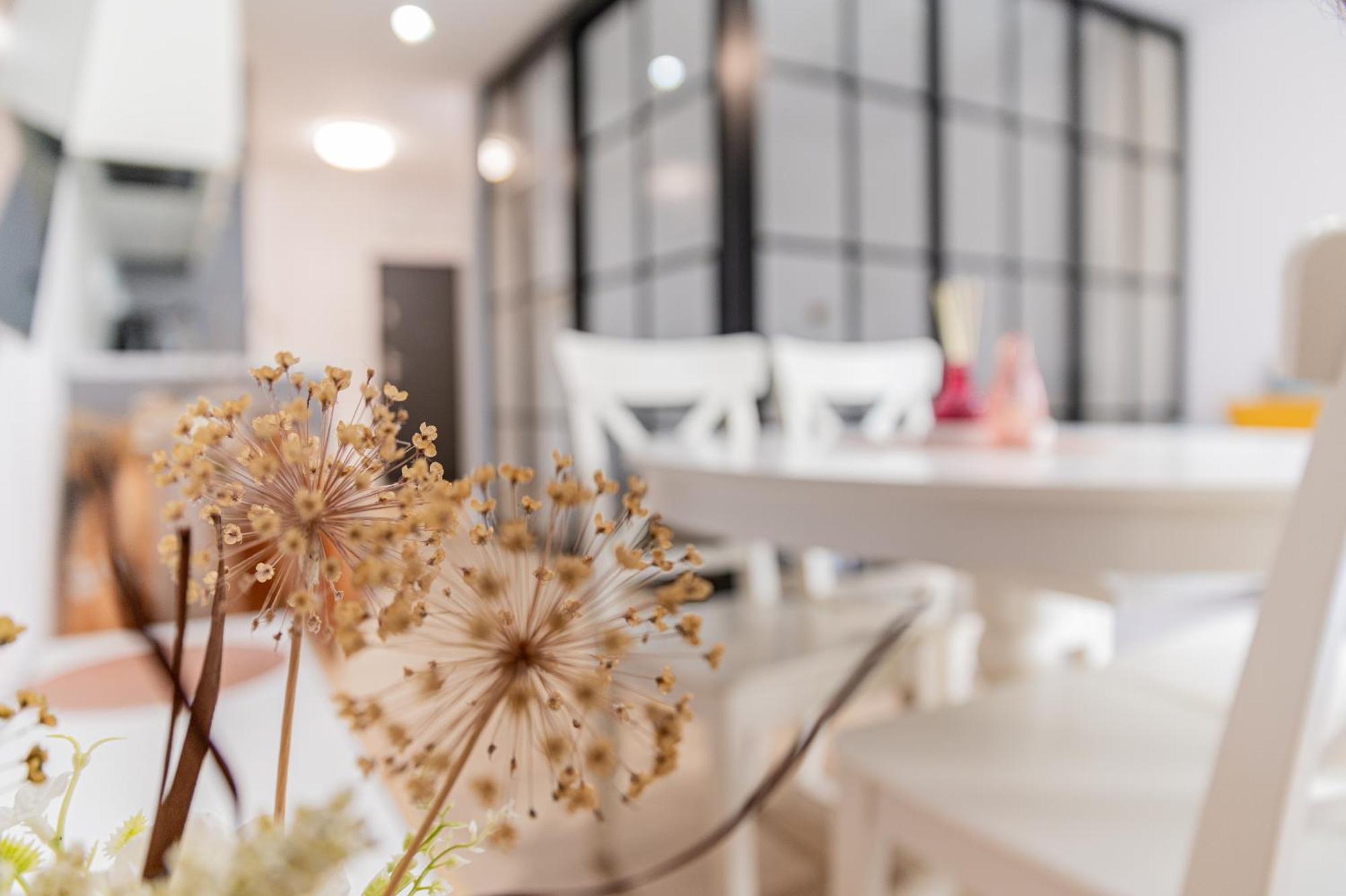 Apartmán Jula Aqua Polanki Kolobřeh Exteriér fotografie